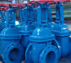Cast Iron(CI) gate valve