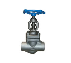 Forged Steel Globe Valve