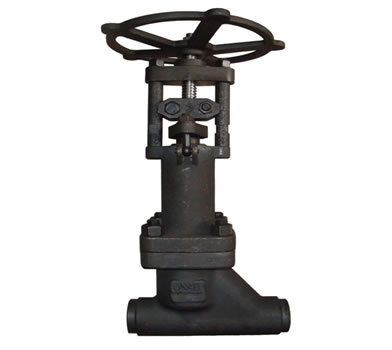 Bellow Seal Globe Valve