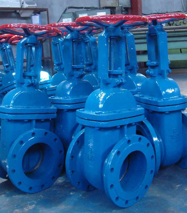 Cast Iron(CI) gate valve