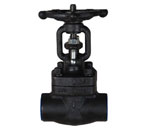 Forged Steel Gate Valve