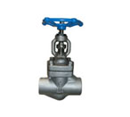Forged Steel Globe Valve