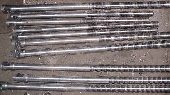 Stem