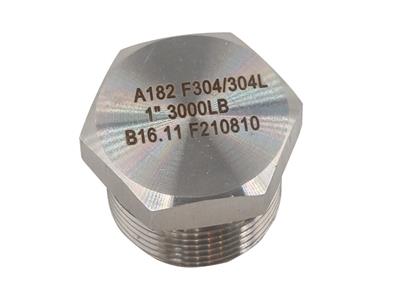 High Pressure Hexagon Plug