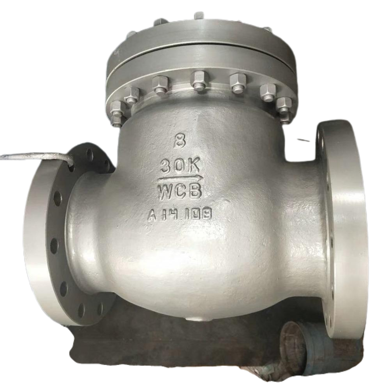 JIS Swing Check Valve