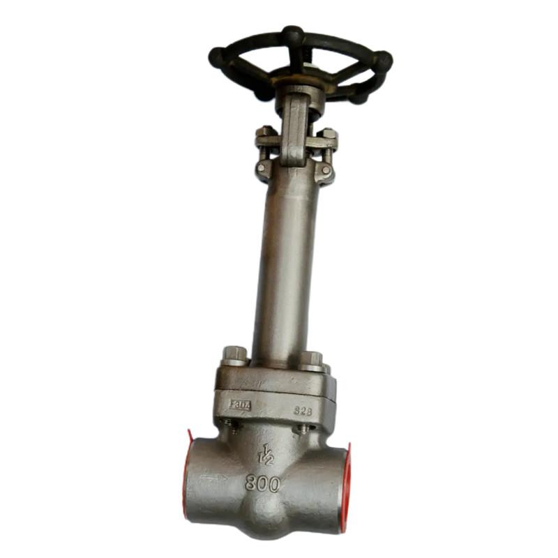 Cryogenic Forged Steel Gate Valve
